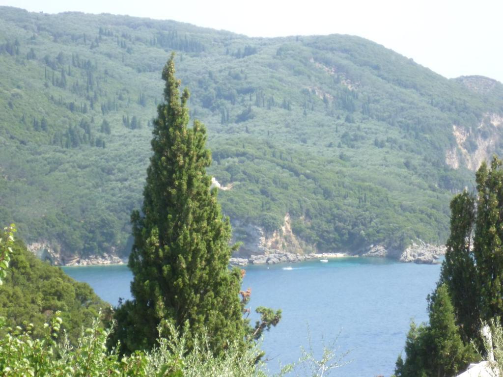Apartament Noufaro Paleokastritsa Pokój zdjęcie